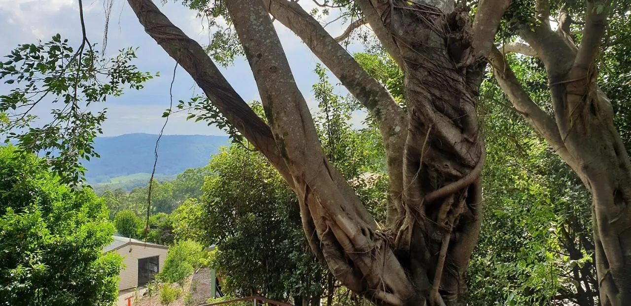 Tranquil Park Μοτέλ Maleny